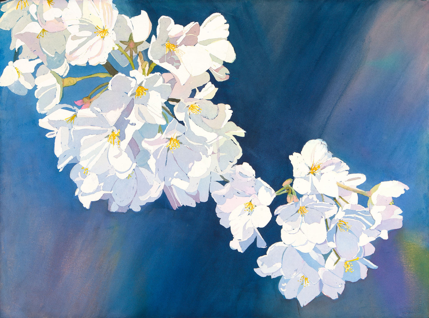 SOLD-Cherry Blossom Festival-Watercolor-Cards Available