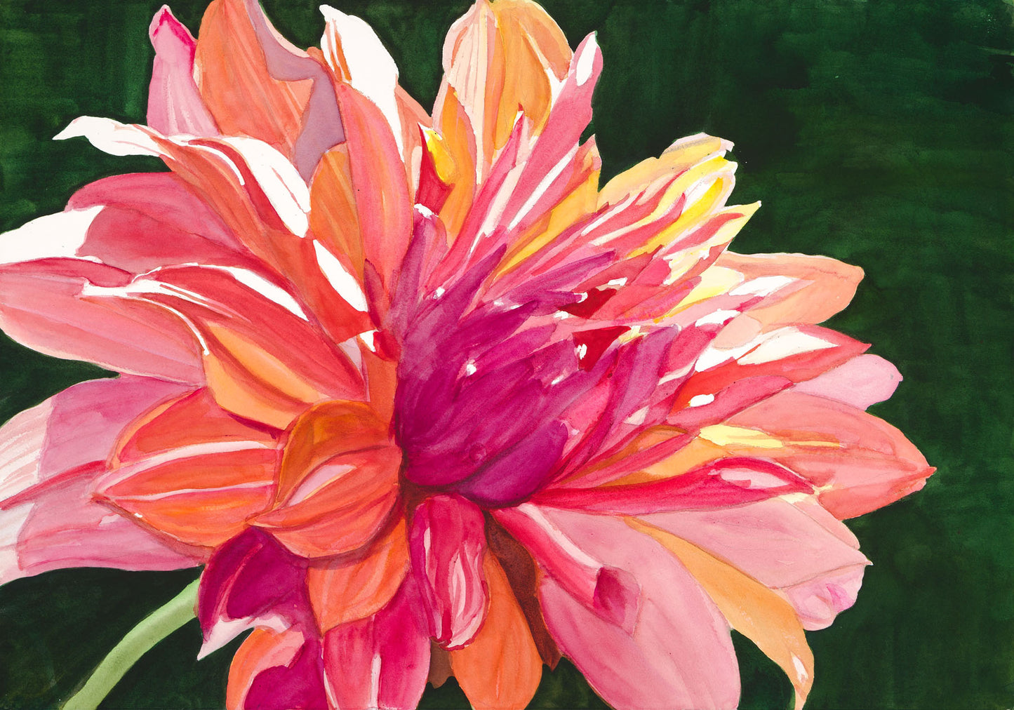 Dahlia-Watercolor