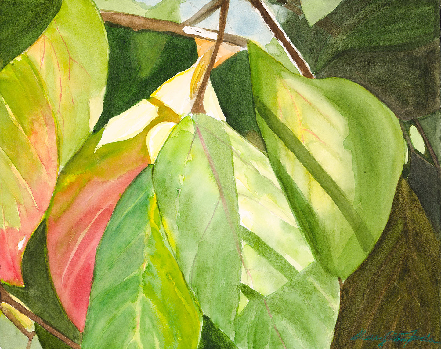 Persimmon Afternoon-Watercolor