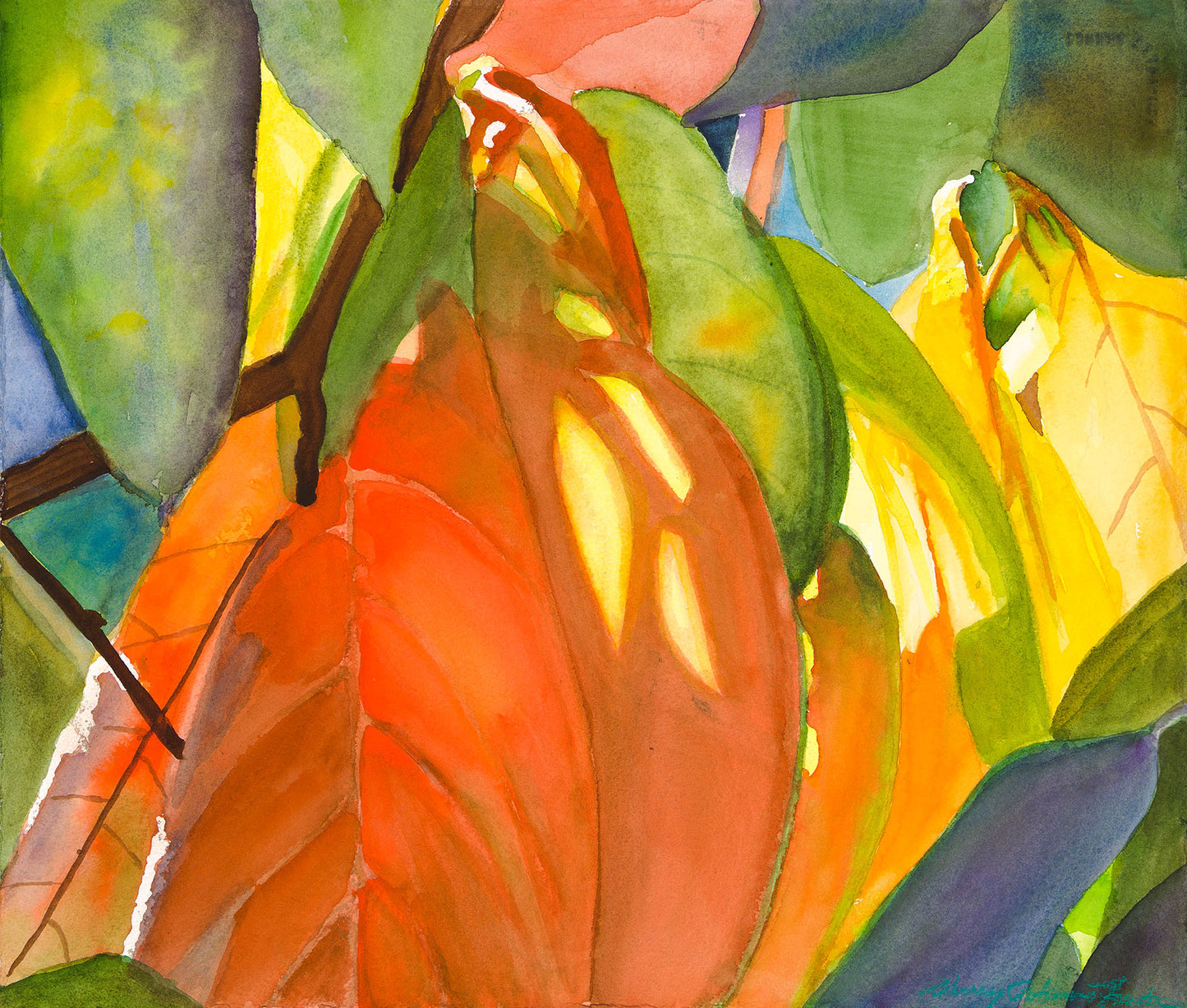 Persimmon Tree Glow