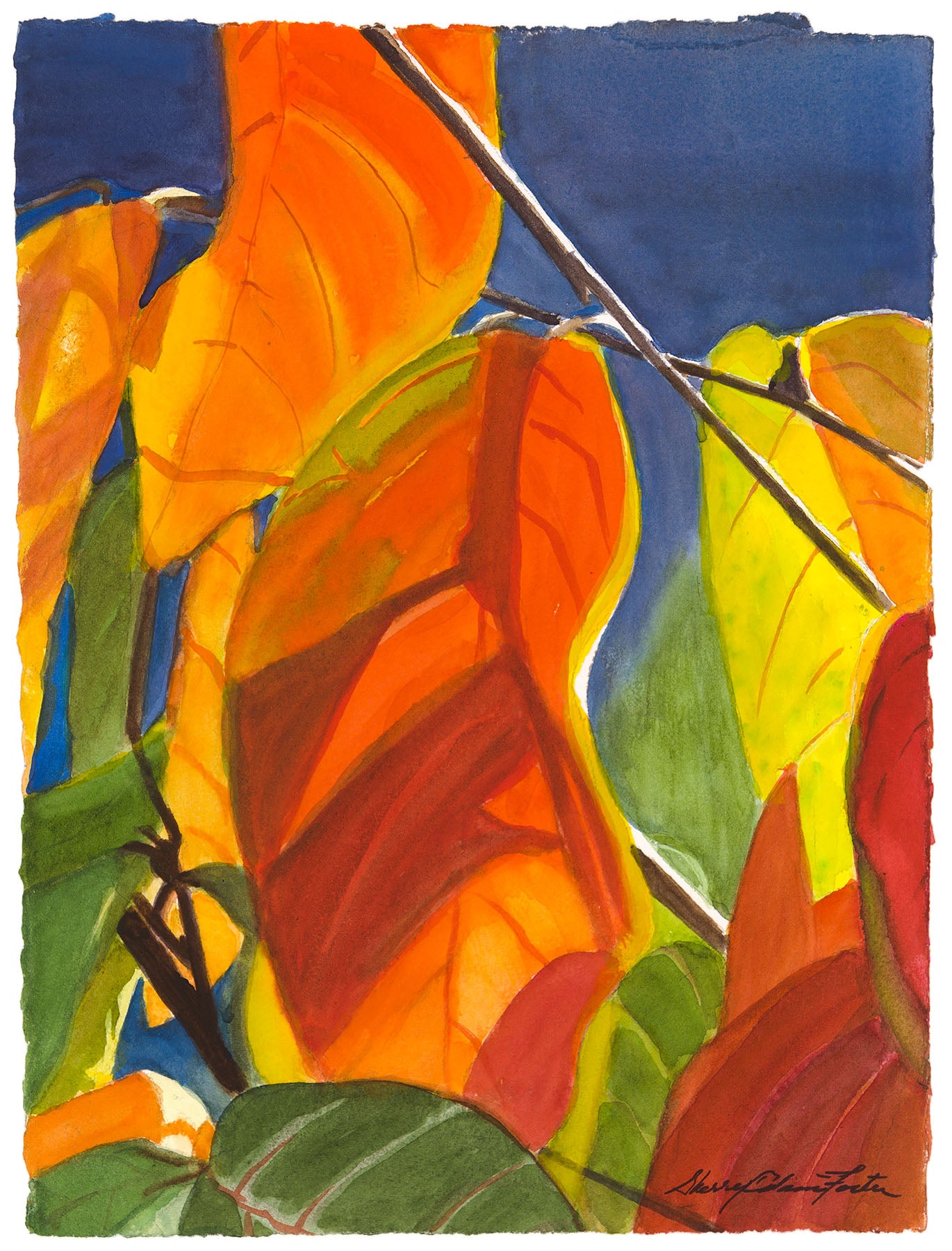 Persimmon Tree Orange