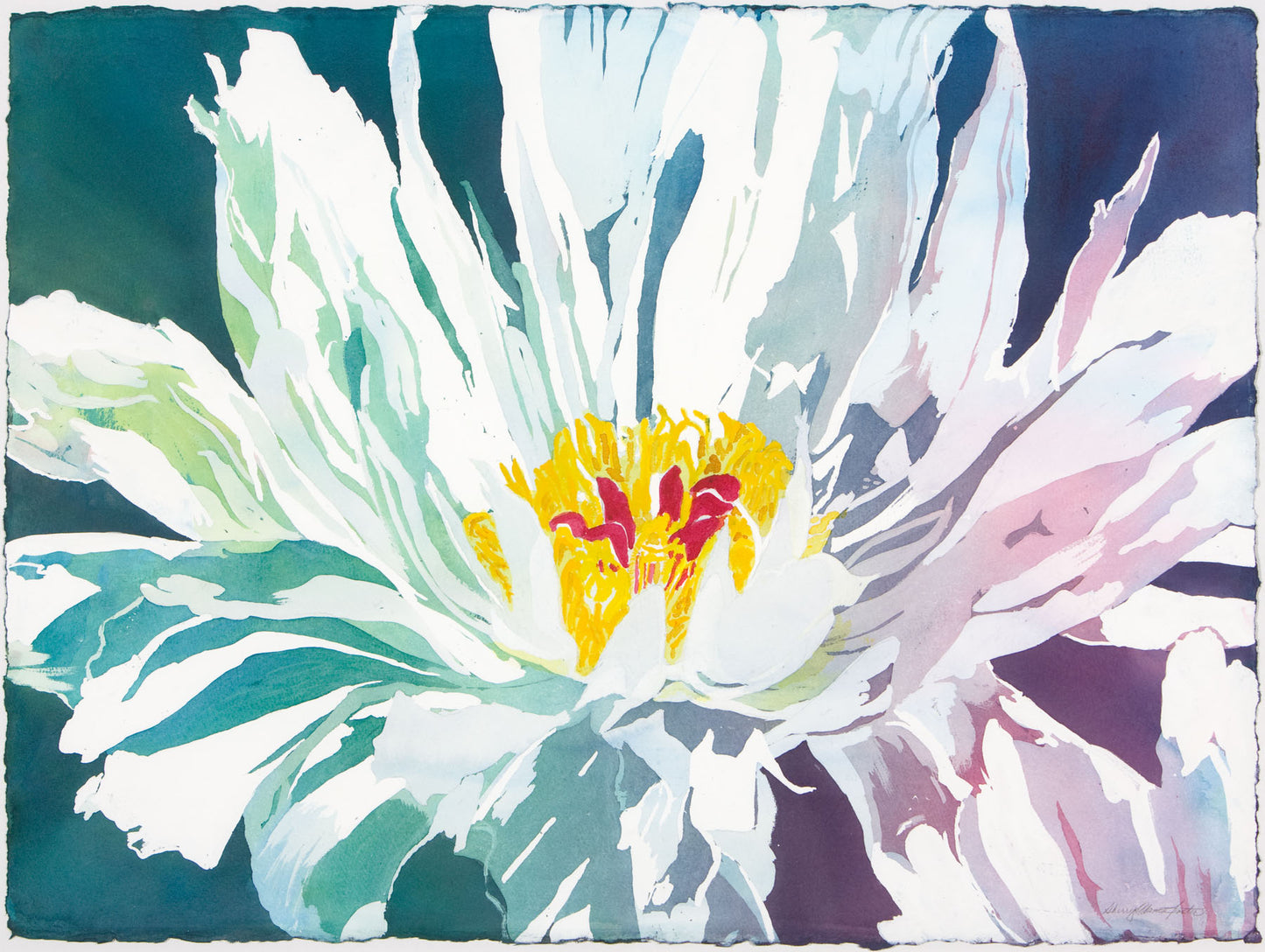 Ray's Peony-Watercolor