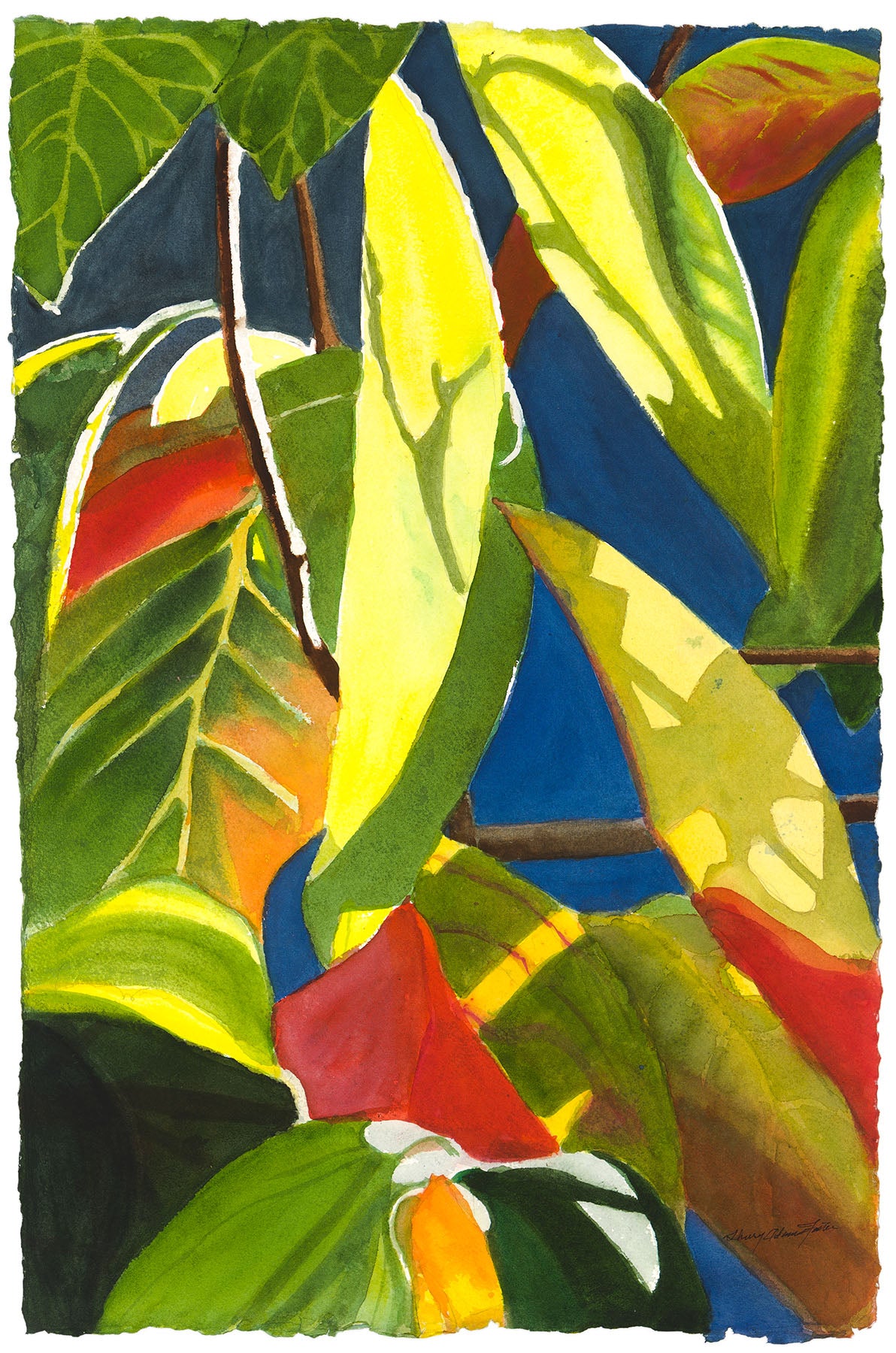 Sun and Shadows