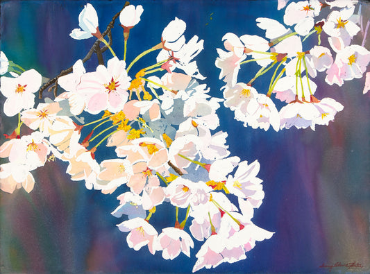 Sakura-Watercolor