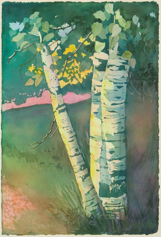 Sunset Birches-Watercolor